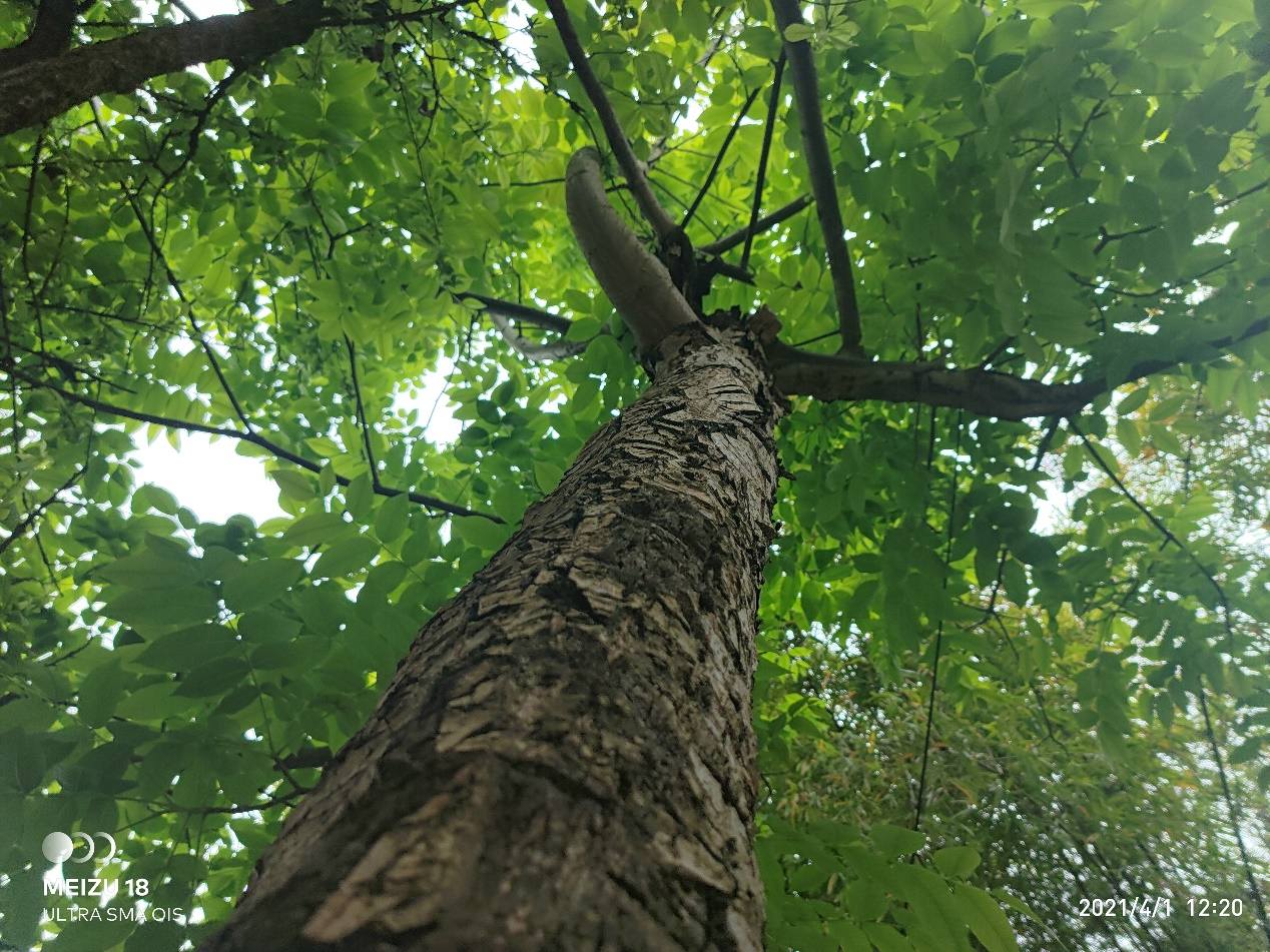 小屏旗舰的惊艳：安全纯净系统，魅族18真机上手详测