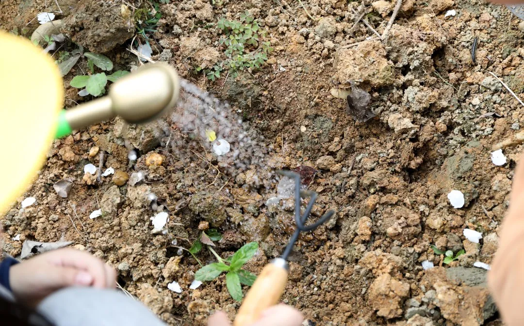 “我们”有一块地这就播种去丨天府新区元音小学劳动实践基地启动