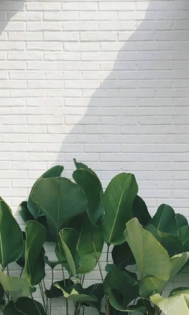 诗和远方的唯美短句（寻找诗和远方优美句子） 第17张