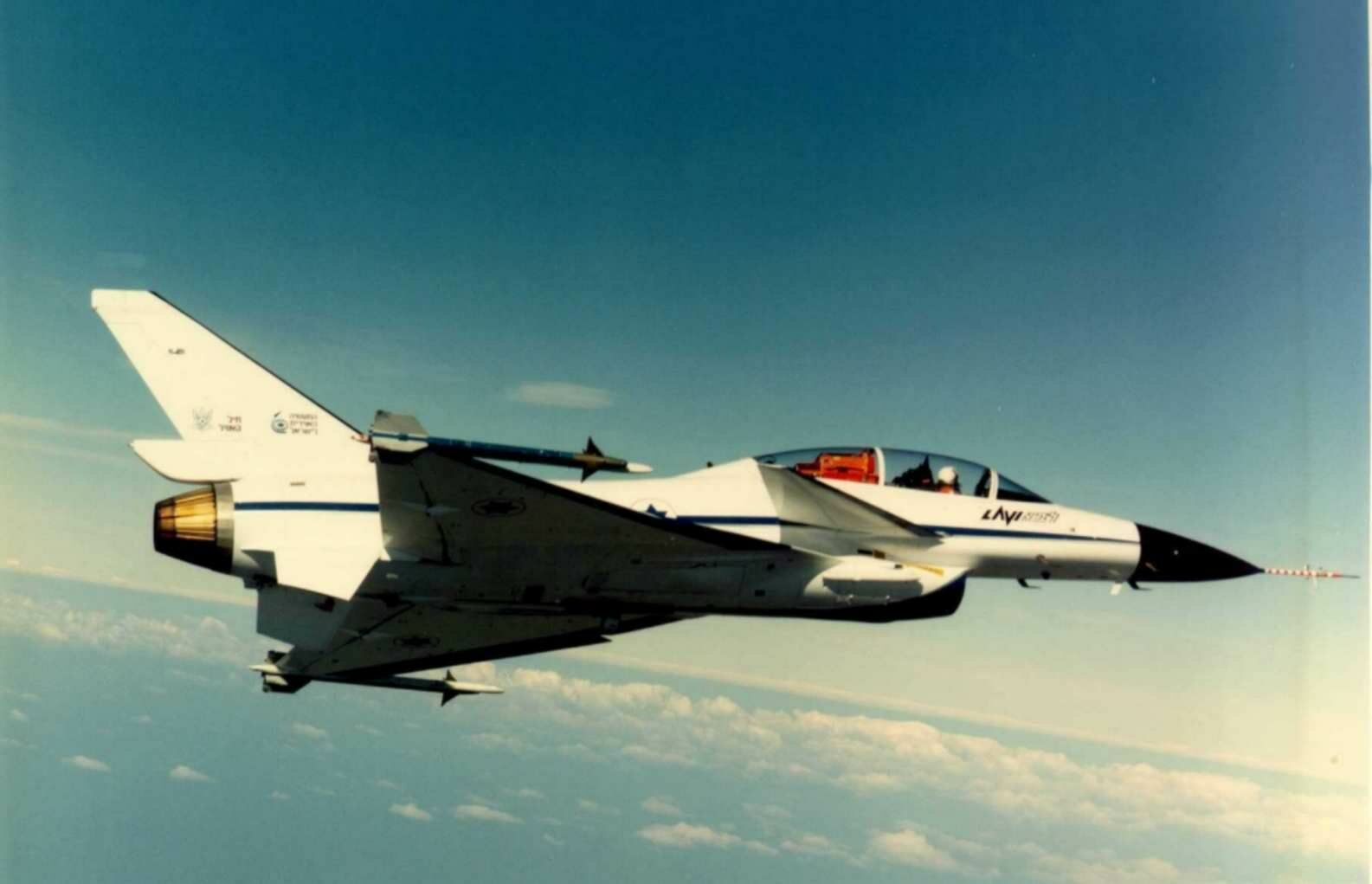 狮心的毁弃：一票之差的扩散涟漪