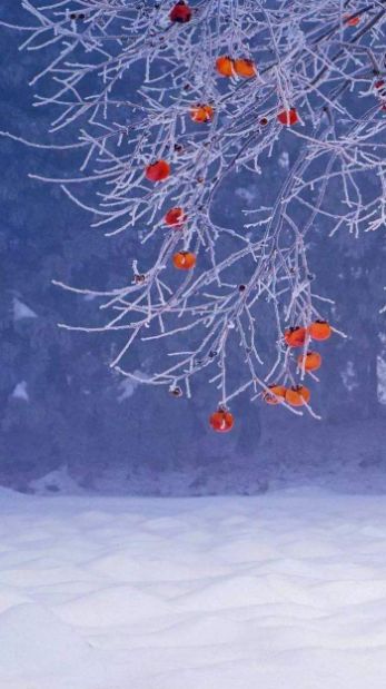 最美的冬日古诗词-第6张图片-诗句网