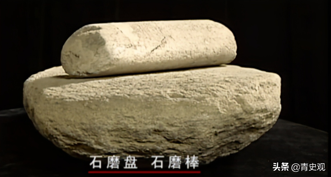 1981年，石家庄出土的一个2厘米的小文物，改变了中国蚕桑业历史
