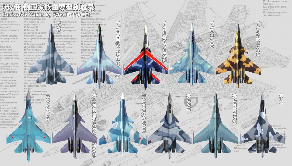 20种，中国苏27原来这么多，歼11歼15歼16就有14型