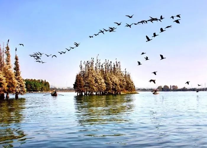 湖北重启，最值得去的地方瞧妹帮大家找到了