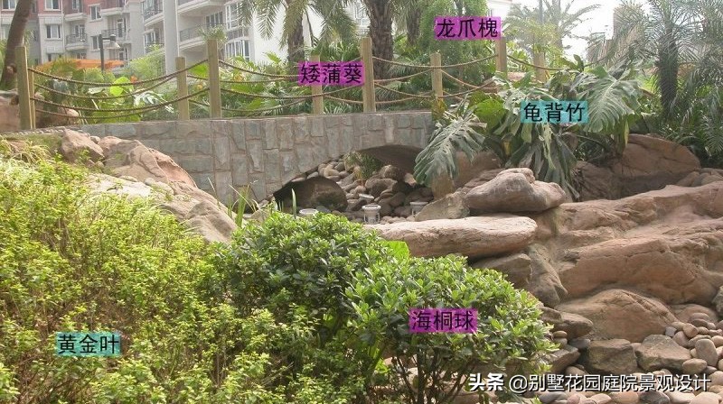 別墅庭院常用植物分享，附照片及名字標(biāo)注（珍藏版）