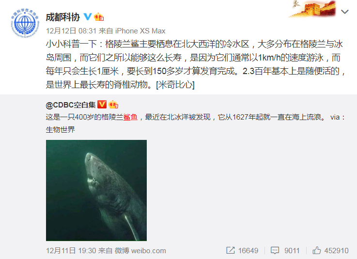400歲鯊魚走紅，長壽因其“生命在于懶”？