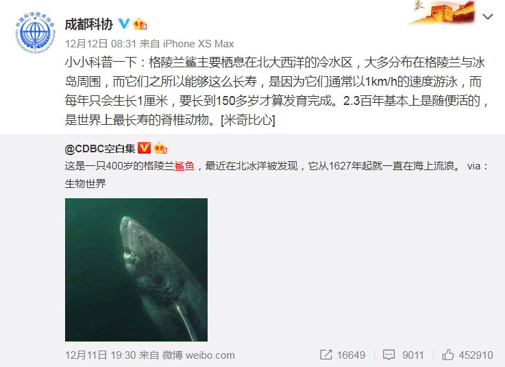 400歲鯊魚走紅，長壽因其“生命在于懶”？