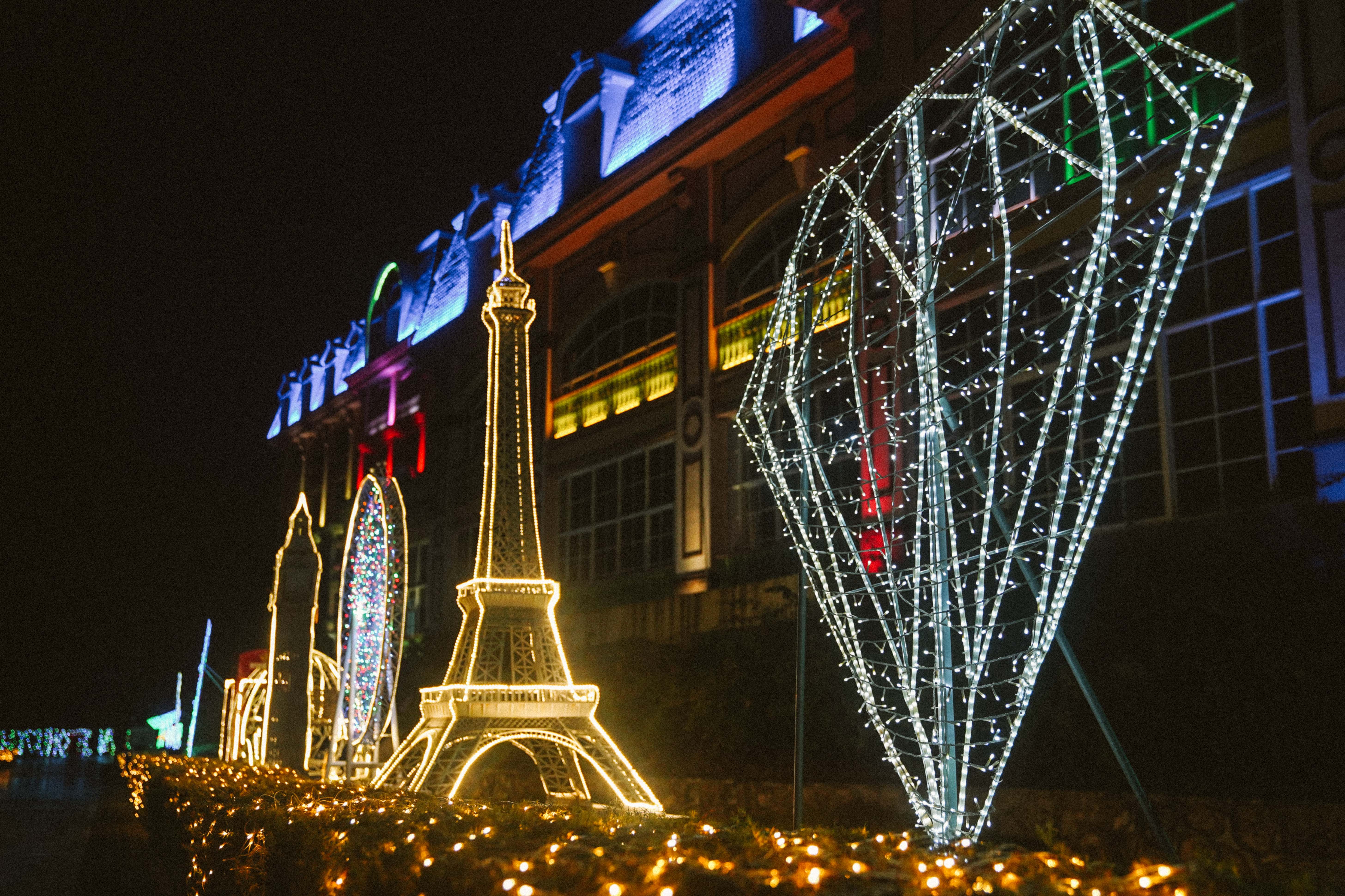 南沙有个叫百万葵园的地方一到了晚上梦幻无比