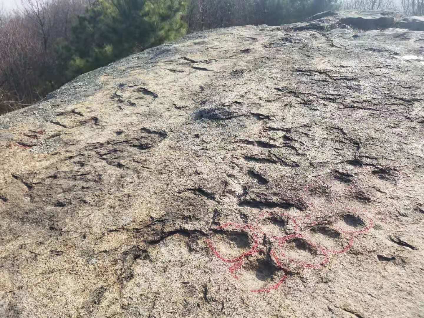 重大考古发现：合肥首次发现大规模史前凹穴岩画群