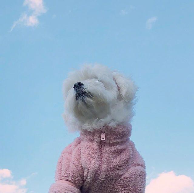 睡前发个朋友圈晚安语 吸引人的晚安朋友圈图片