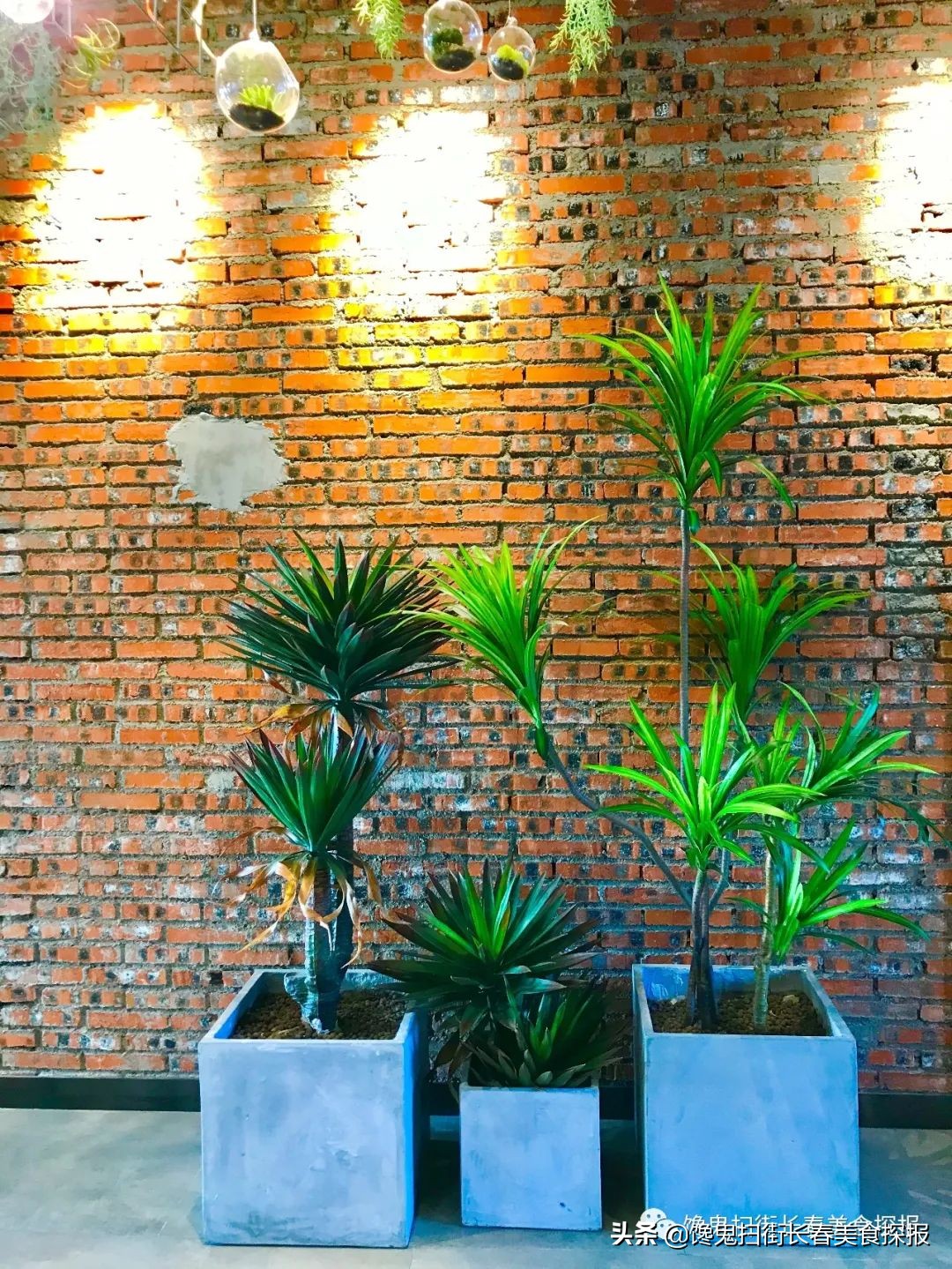 Take iron porcelain surely in Changchun rub eating house