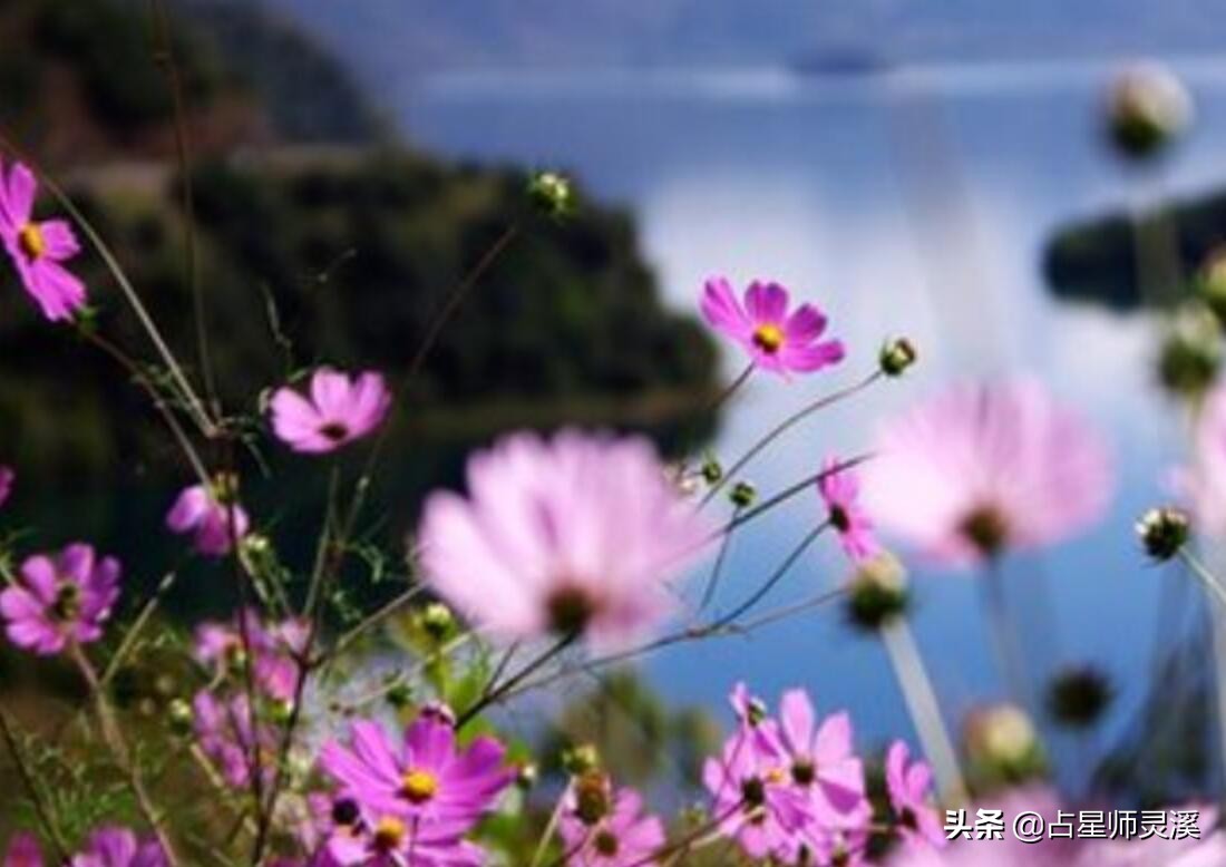 事业越来越顺利 哪些星座6月4日工作事半功倍 占星师灵溪 Mdeditor