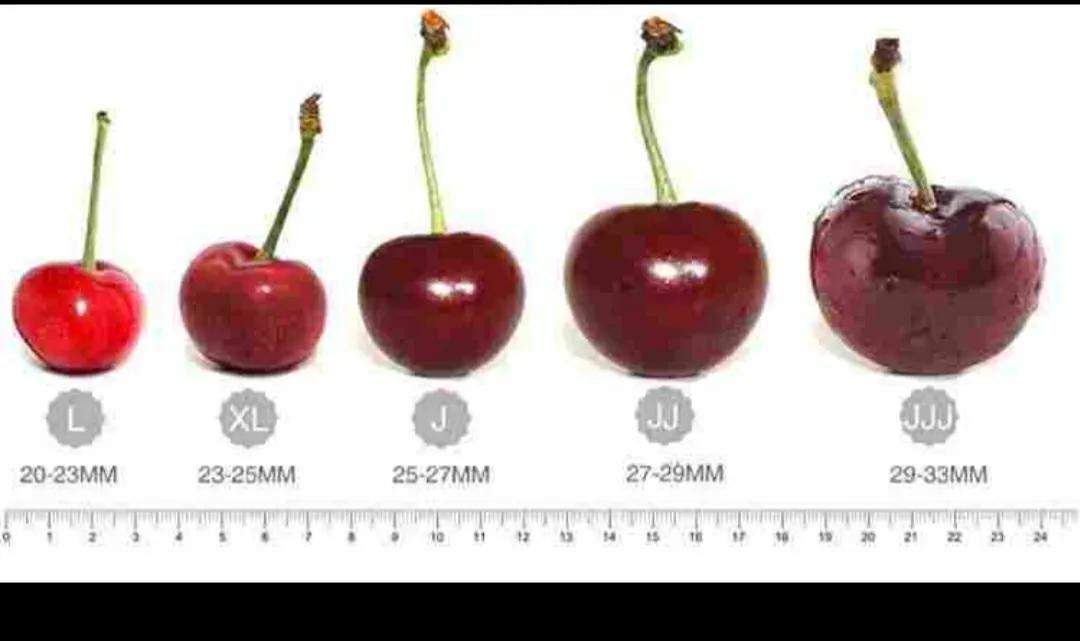 Car a unit of weight child how be to become " is the net red " ? 