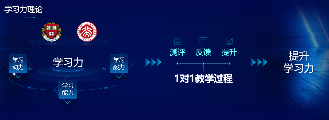 陆毅、陈小春家庭都青睐的精锐高端辅导，有何过人之处？