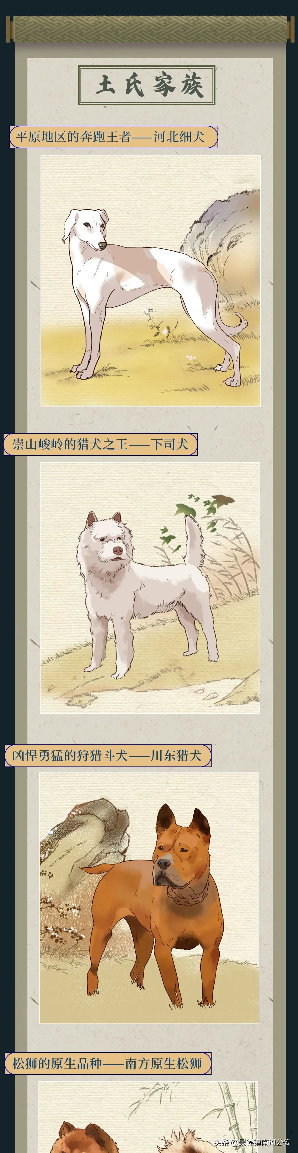 你凭什么看不起中国土狗？