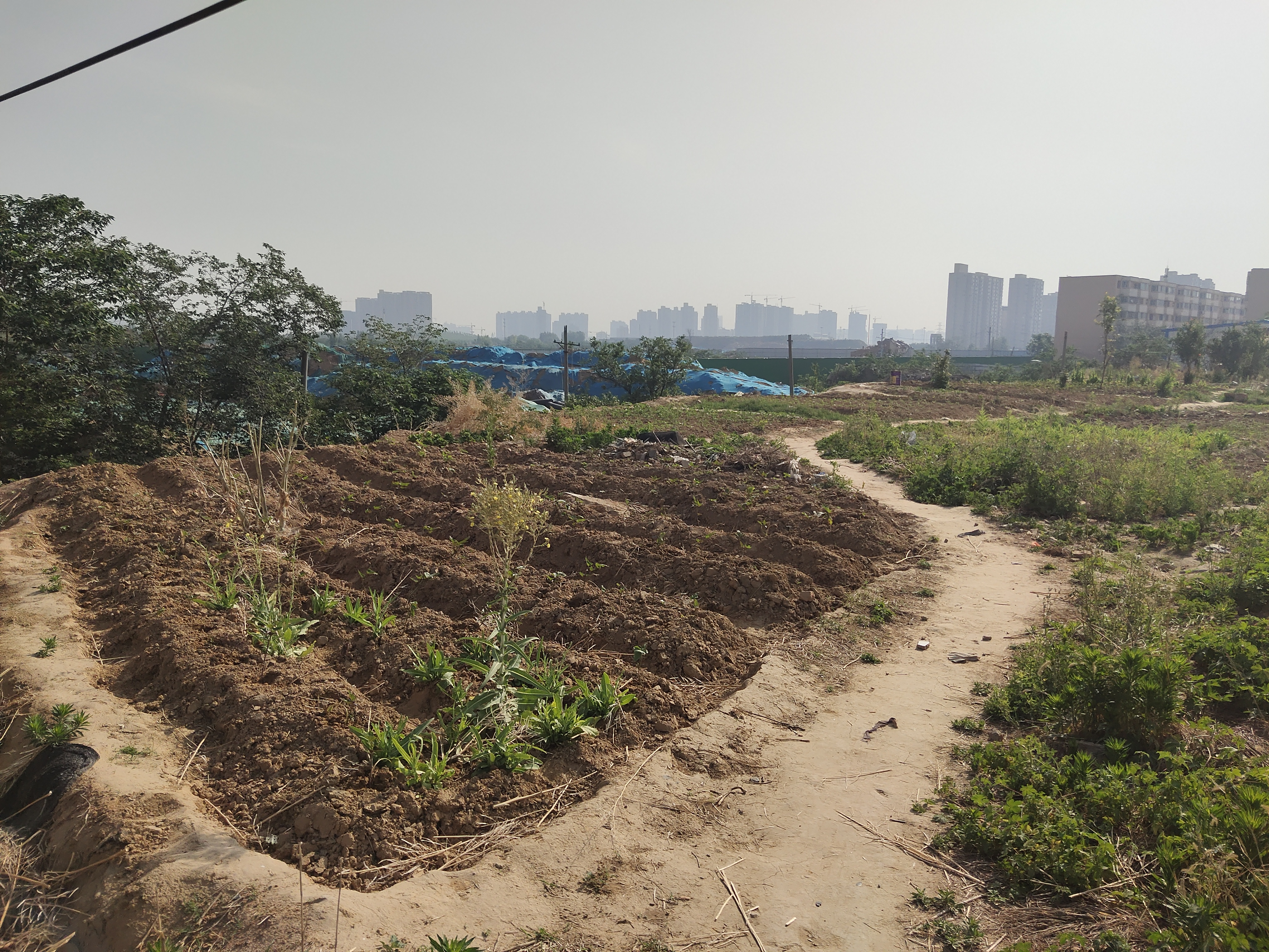 民族运动会带火的常西湖新区，是否辉煌依旧？