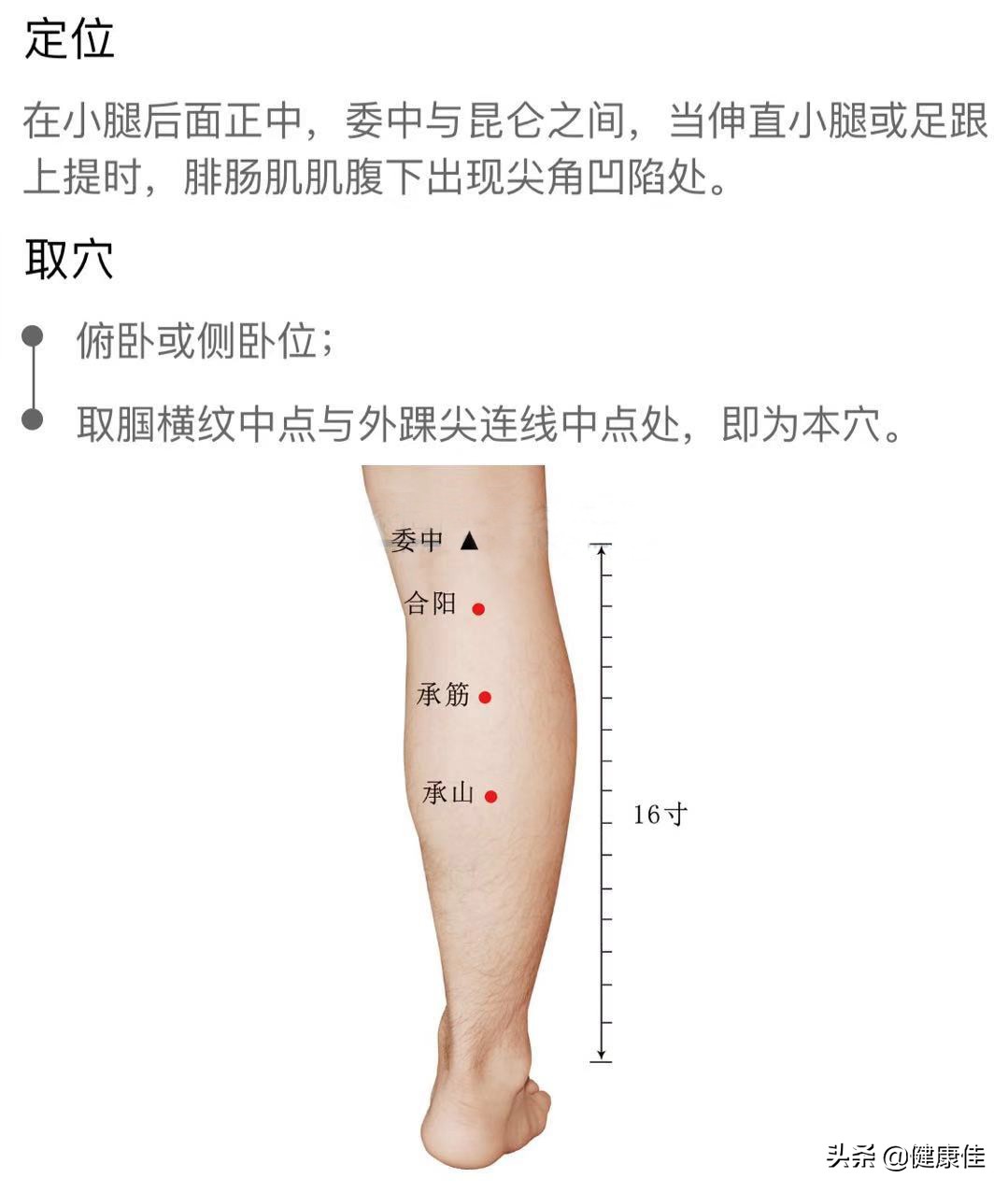 每天按揉承山穴，腰酸腿疼可缓解-第1张图片-农百科