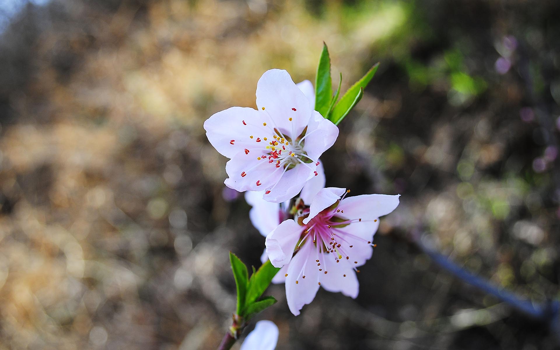 8月5日星座運勢 白羊信心十足 天秤循序善誘 摩羯堅持到底 星座趣談e Mdeditor