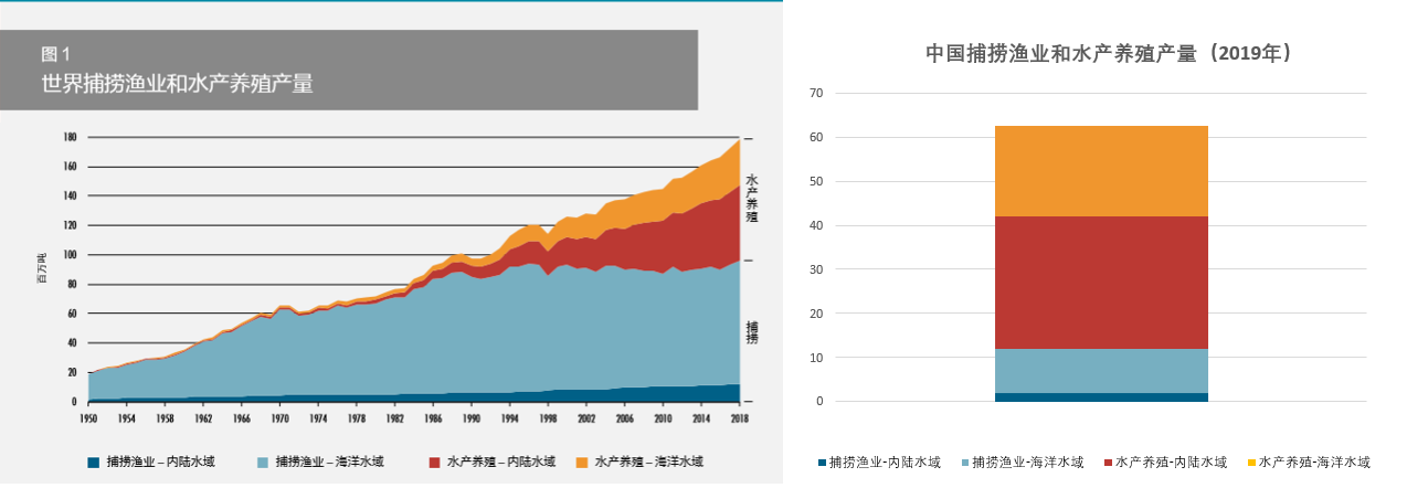 世界渔业和水产养殖，我们在关注 | 渔业X档案FAO专题