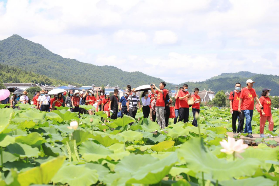 福建上杭：古田圣地“荷”你相约