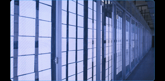 万众一心为普及，砥砺奋进铸辉煌！强力巨彩2020完美收官