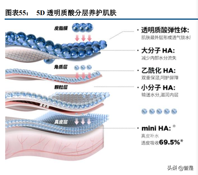 华熙生物专题报告：品牌矩阵贯穿医护两端，三地产能实现四轮驱动