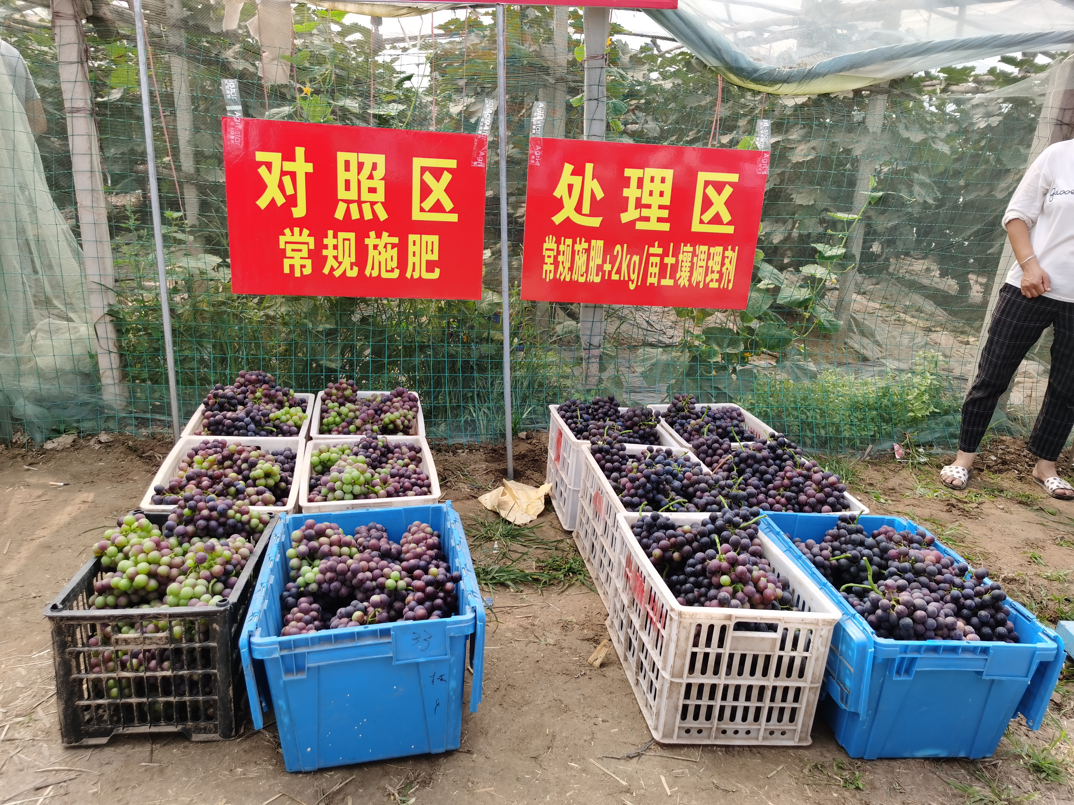 搞农业种植，一定要学会向科学技术要产量