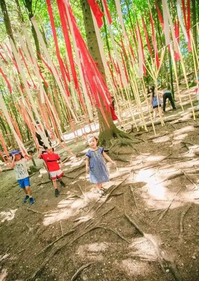 国外感官公园教你如何调动人的五感打造沉浸式体验