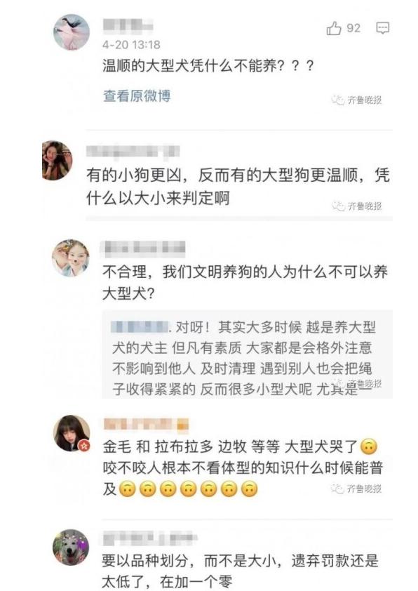 濟南養犬新規 每戶只能養一隻小型犬 繳納管理服務費 遺棄罰款 資訊咖 濟南養犬新規 每戶只能養一隻小型犬 繳納管理服務費 遺棄罰款 資訊咖