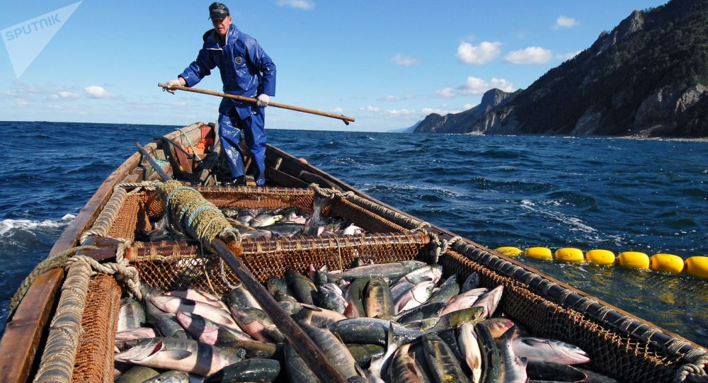 不怕斷子絕孫嗎？ 日本福島又出現射魚，這次與地震有關係？