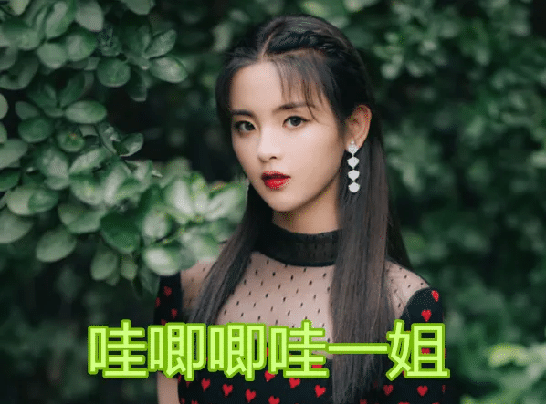 欢瑞的一姐，嘉行的一姐，唐人的一姐，看到哇唧唧哇的：路转粉了