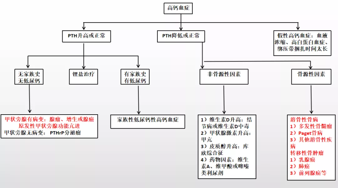 当骨质疏松遭遇高钙血症 代谢网 Mdeditor