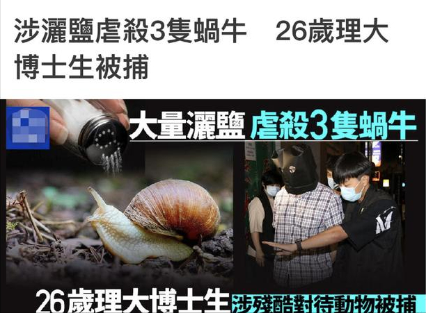 向蜗牛撒盐的香港博士被捕，这是怎么回事？这蜗牛究竟该不该杀？