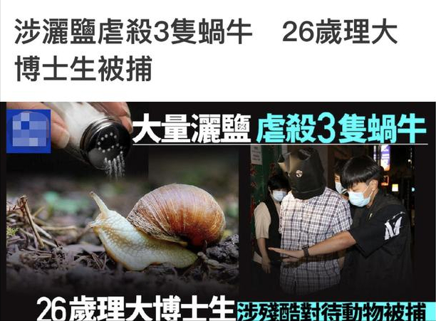 向蝸牛撒鹽的香港博士被捕，這是怎么回事？這蝸牛究竟該不該殺？