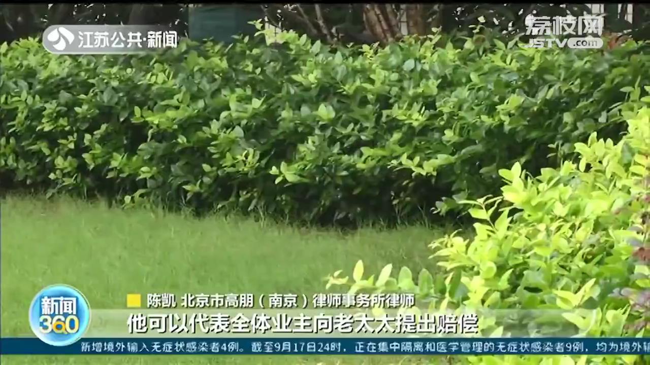老太从22楼扔下电风扇，民警批评教育的处罚轻了？律师给出法律分析