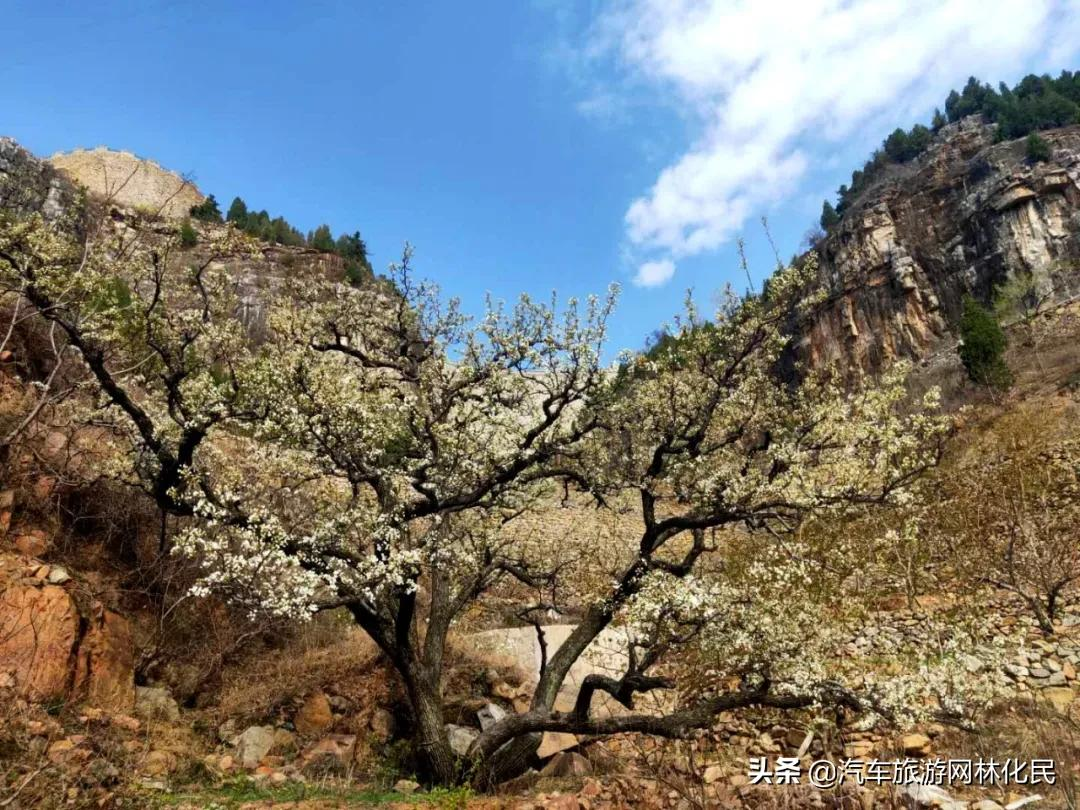 「3.27日·好客山东年卡」平邑九间棚+康谷温泉1日游