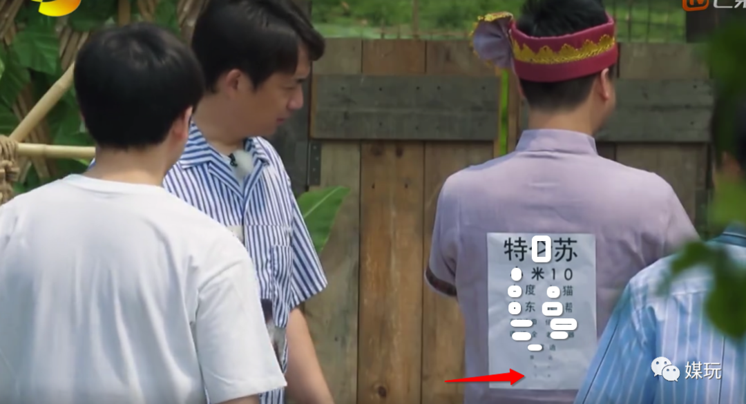 为了拍一条植入，《向往的生活4》居然运了一架升降机进蘑菇屋