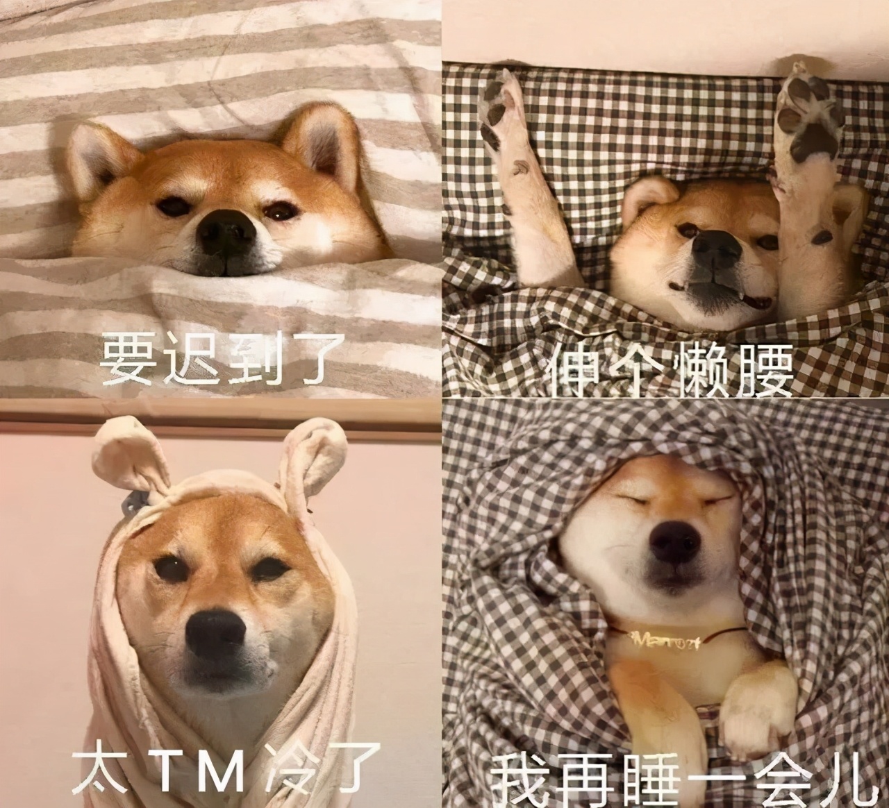 紧急提醒！大降温+雨雪！临沂最低温跌破零度