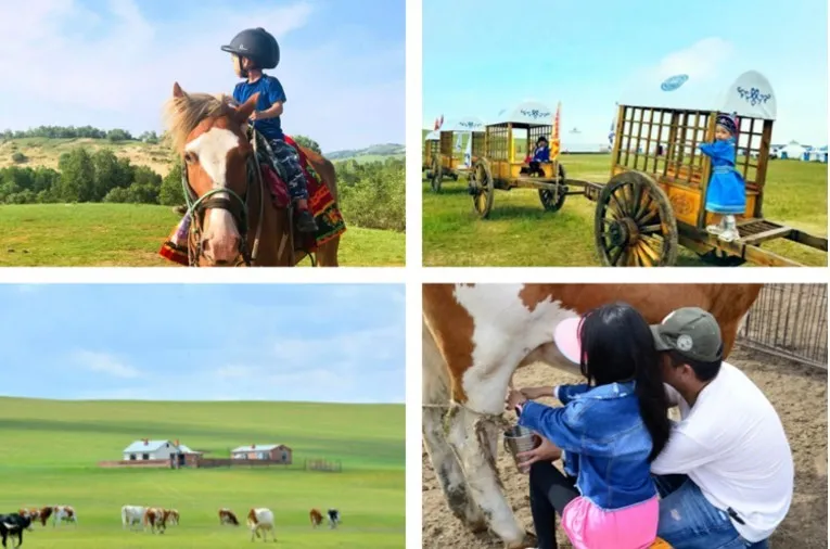 Repelling the scorching summer grassland paradise, Hulunbuir travels the most beautiful route, parent-child vacation praises