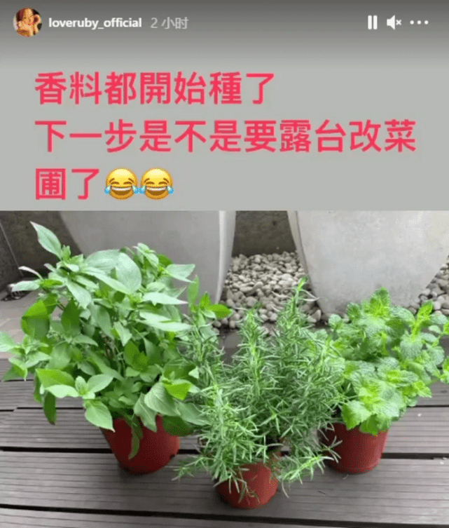 林心如再秀厨艺，变着花样给老公女儿做美食，霍建华父女太有口福