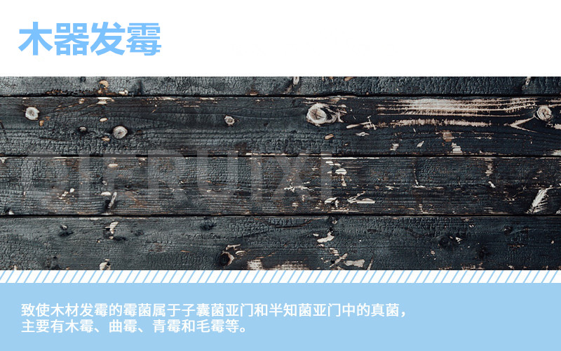 實木家具泡水后發(fā)霉如何修復(fù)？