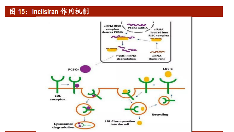 ����������ҵ��ȱ��棺ǧ���г����п�Ϊ