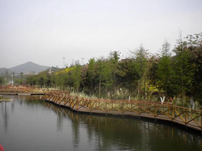 深圳十大免费特色的湖泊公园