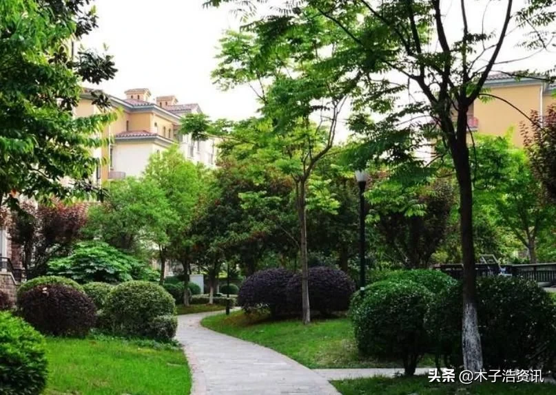 买得起房也要看对房！买房时一定要记住这个成语，不然会后悔