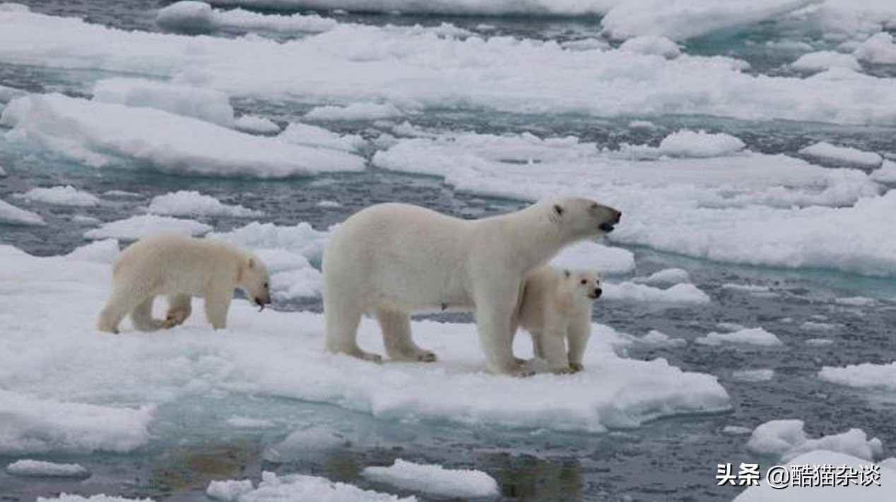 十大全球性危機，我們距離一場全球性危機越來越近了
