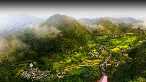浙江磐安：绿水青山好药材，江南药镇飘药香