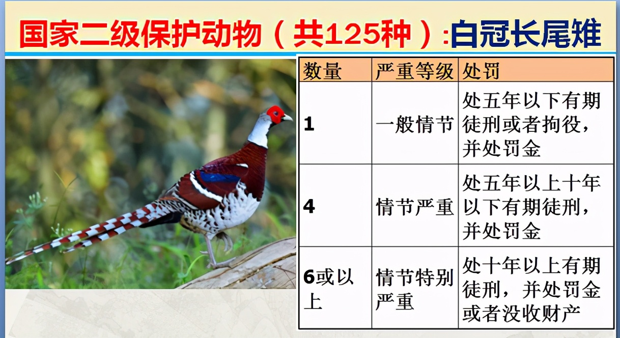 国家最新125类二级野生保护名录，图片及违法对应刑责