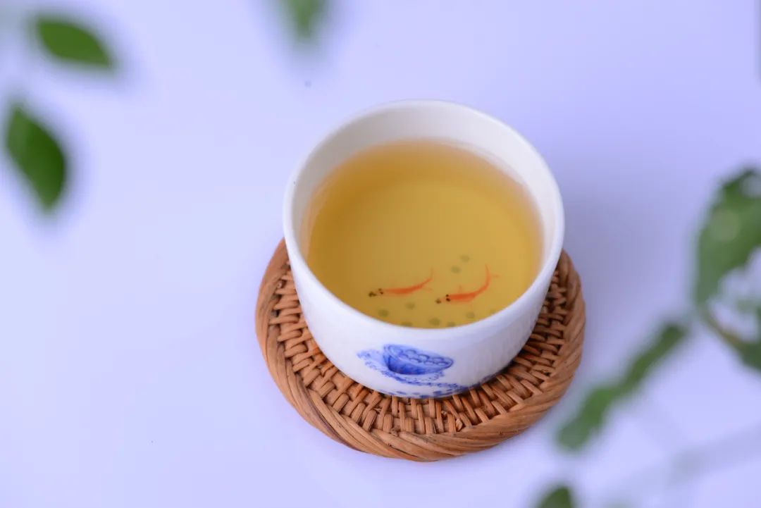 為什么市面上多是普洱緊壓茶，不是散茶？