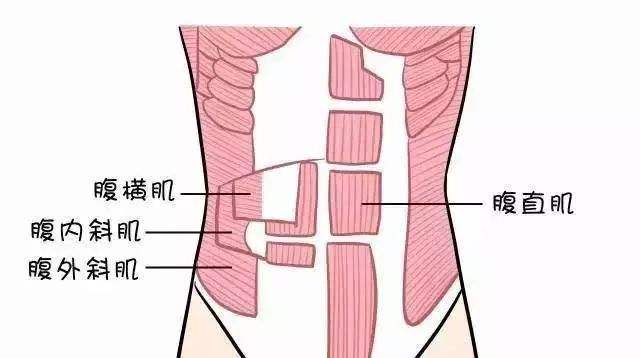 一個死蟲子動作，鍛鍊腹橫肌，幫你解決背痛問題