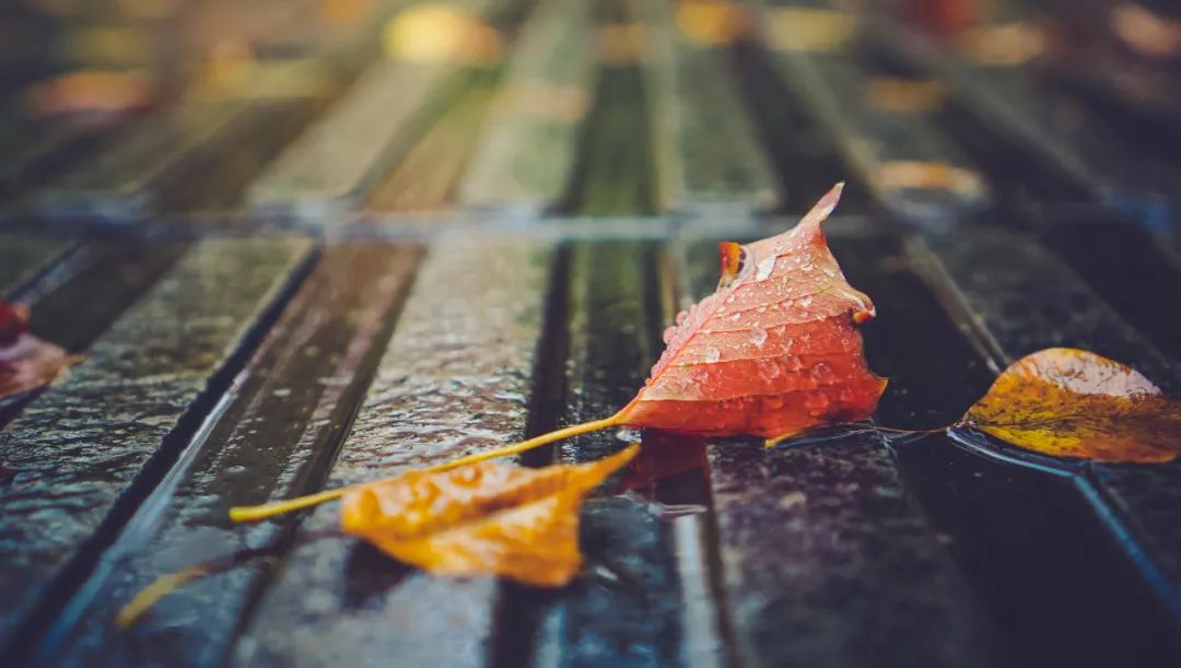 10首最美秋雨诗词，清秋有梦，雨落成诗，哪一首是你的心情？-第3张图片-非凡网